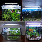 XY-30K Support LED Aquatique pour Aquarium en Verre, Prise US, XY-30K