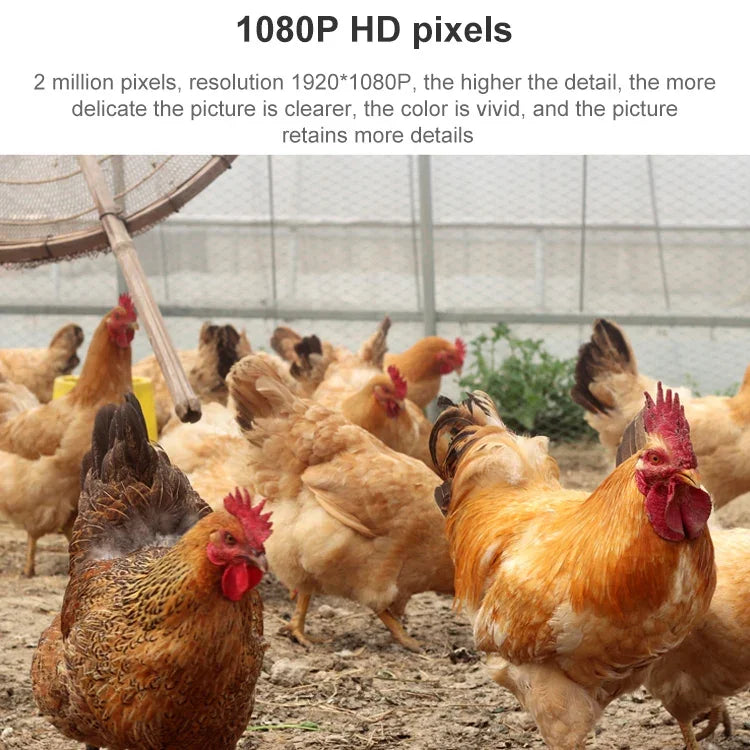 Caméra dôme intelligente WiFi sans fil QX5 2,0 millions de pixels 1080P HD avec zoom 20X, prend en charge la vision nocturne infrarouge / la détection de mouvement / l'interphone vocal / la carte TF, prise AU, version WiFi