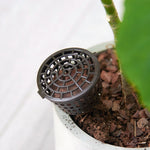 10 pièces d'outils de bonsaï, produits de jardinage, boîtes d'engrais pour bonsaï avec couvercle, petite taille : 4 x 3 cm, petite taille : 4 x 3 cm