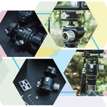 Rotule panoramique FITTEST X4 à centre de gravité bas et force de verrouillage élevée avec plateau à dégagement rapide pour appareils photo reflex numériques et numériques, charge maximale 10 kg, YT040 X4