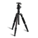 Trépied portable réglable en fibre de carbone TRIOPO T259G+Q2 avec rotule Q-2 pour appareil photo reflex, T259G+Q2