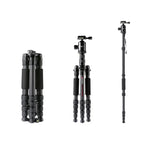 Trépied portable réglable en fibre de carbone TRIOPO T259G+Q2 avec rotule Q-2 pour appareil photo reflex, T259G+Q2