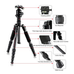 Trépied portable réglable en fibre de carbone TRIOPO T259G+Q2 avec rotule Q-2 pour appareil photo reflex, T259G+Q2