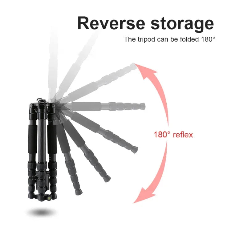 Trépied portable réglable en fibre de carbone TRIOPO T259G+Q2 avec rotule Q-2 pour appareil photo reflex, T259G+Q2