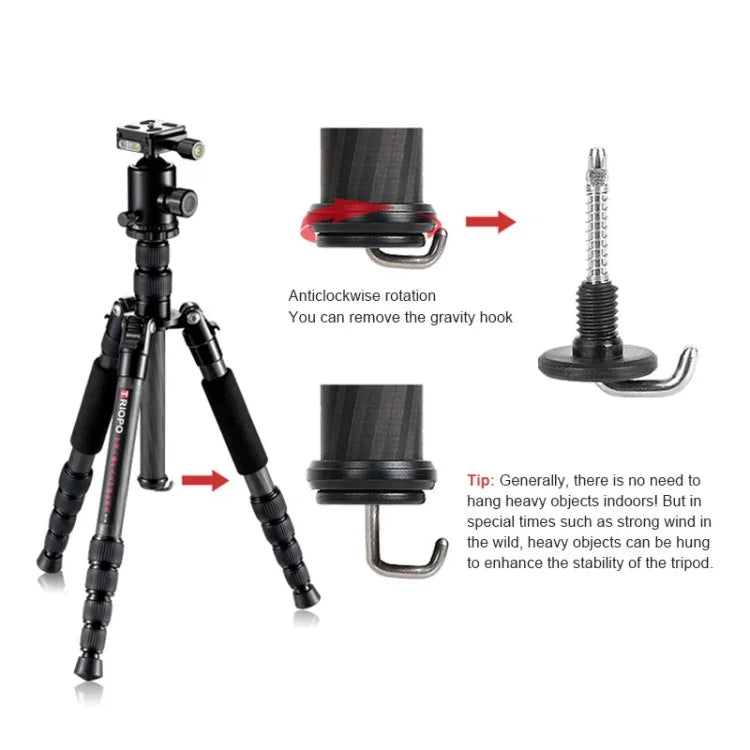 Trépied portable réglable en fibre de carbone TRIOPO T259G+Q2 avec rotule Q-2 pour appareil photo reflex, T259G+Q2
