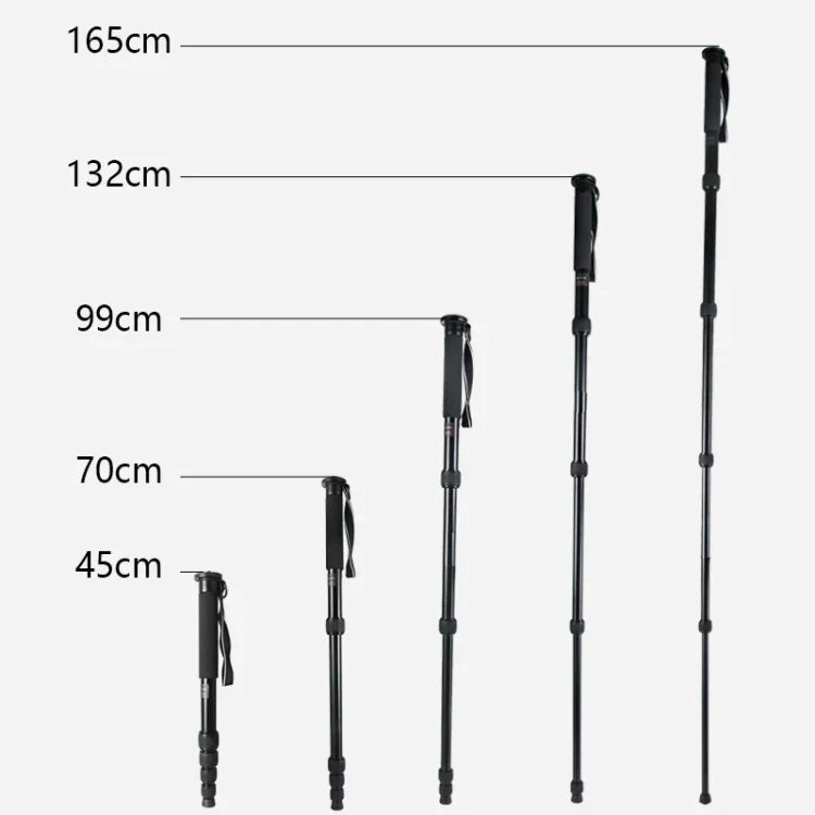 BEXIN MAS325 Support monopode portable en alliage d'aluminium pour appareil photo reflex numérique, idéal pour les voyages et les activités de plein air.