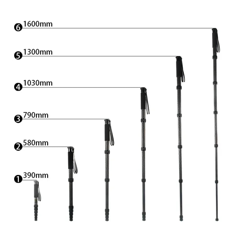 BEXIN P306C Support monopode portable en fibre de carbone pour appareil photo reflex numérique, idéal pour les voyages et les activités de plein air.