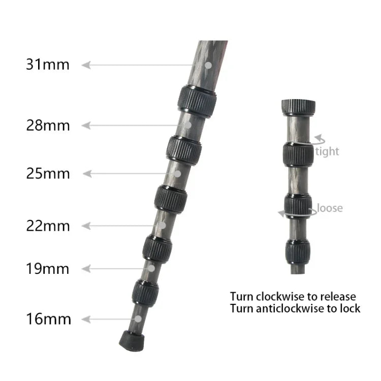 BEXIN P306C Support monopode portable en fibre de carbone pour appareil photo reflex numérique, idéal pour les voyages et les activités de plein air.