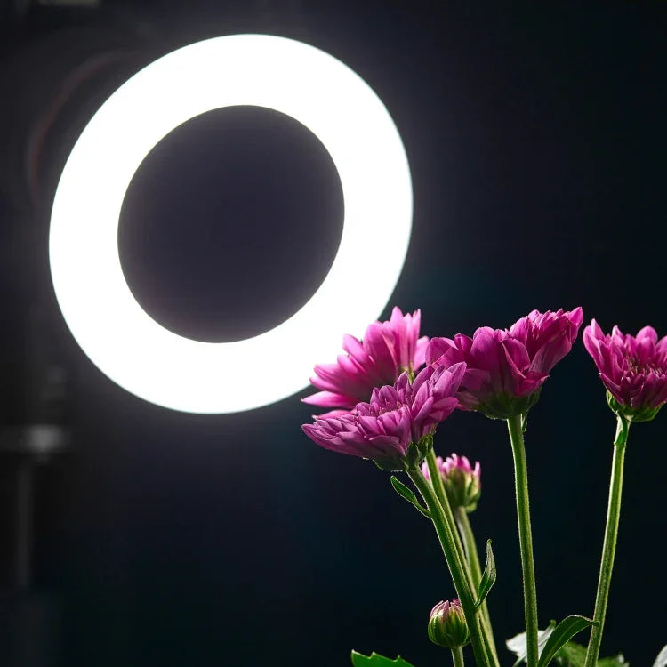 Lampe torche Godox Ring72 Macro Ring à 48 LED avec 8 bagues d'adaptation de tailles différentes, Ring72