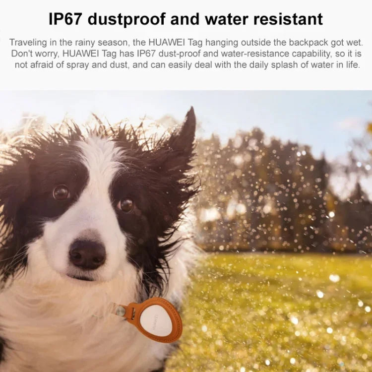 HUAWEI Tag Traceur anti-perte léger et compact pour animaux de compagnie, HUAWEI Tag