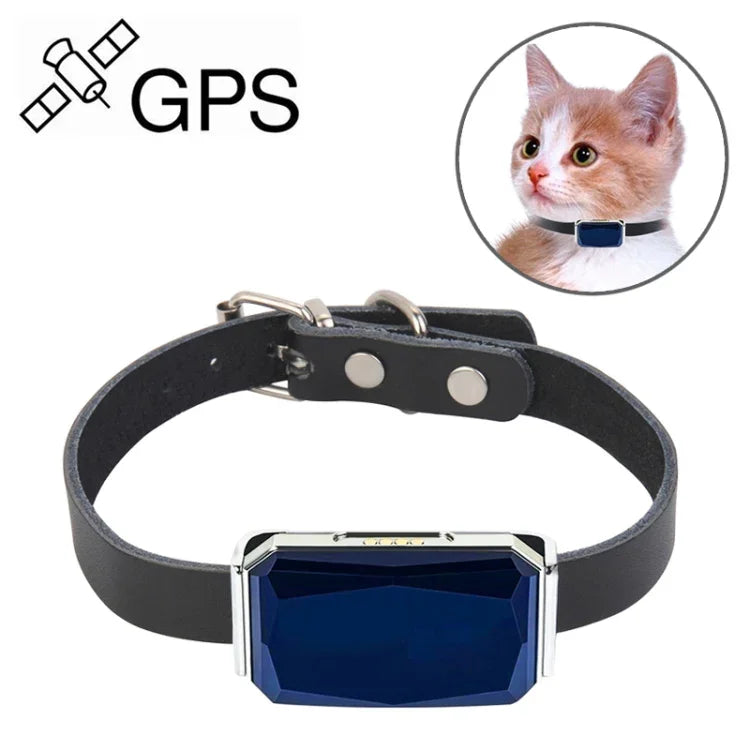 Traceur GPS pour animaux de compagnie étanche IP67 G06, localisateur de chien G12