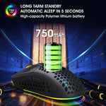 Souris Gamer Sans Fil HXSJ T90 RGB Trois Modes