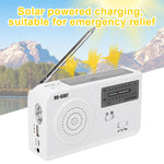 Radio AM/FM solaire bi-bande RD-638T avec lampe torche et fonction dynamo