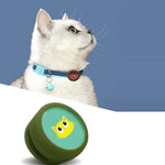 Collier pour chat antichoc avec étui de protection pour AirTag 2e génération / AirTag 1re génération