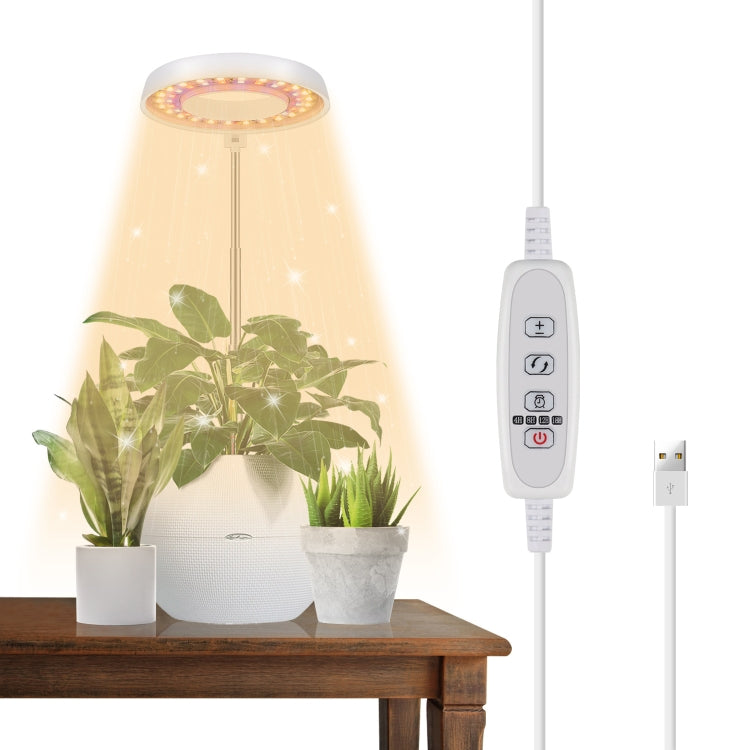 Lumière de remplissage pour croissance de plantes succulentes 10W 48 LED, anneau d'ange, abeille, tube rond