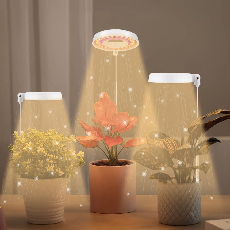 Lumière de remplissage pour croissance de plantes succulentes 10W 48 LED, anneau d'ange, abeille, tube rond