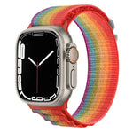 Silver Buckle Nylon Watch Band, For Apple Watch Ultra 49mm / Series 8&7 45mm / SE 2&6&SE&5&4 44mm, For Apple Watch Series 8&7 41mm / SE 2&6&SE&5&4 40mm / 3&2&1 38mm