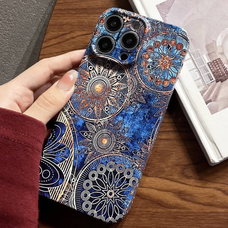 Painted Pattern Precise Hole PC Phone Case, For iPhone 13 Pro Max
