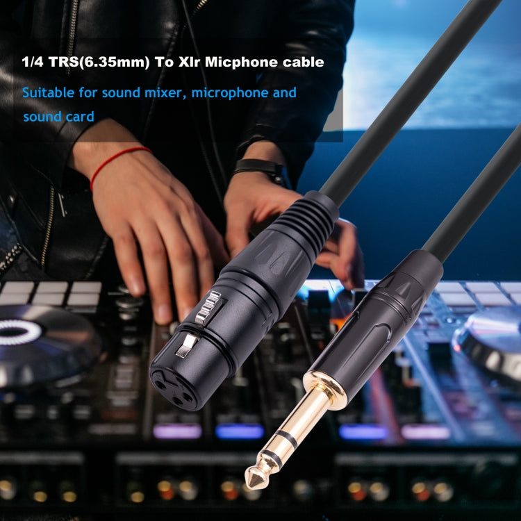 Câble microphone 6,35 mm 1/4 TRS mâle vers XLR 3 broches femelle, 1 m, 1,8 m, 3 m, 5 m, 10 m