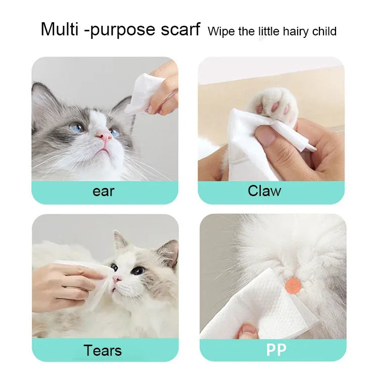 Lingettes nettoyantes humides pour animaux de compagnie (chats et chiens), 80 unités.