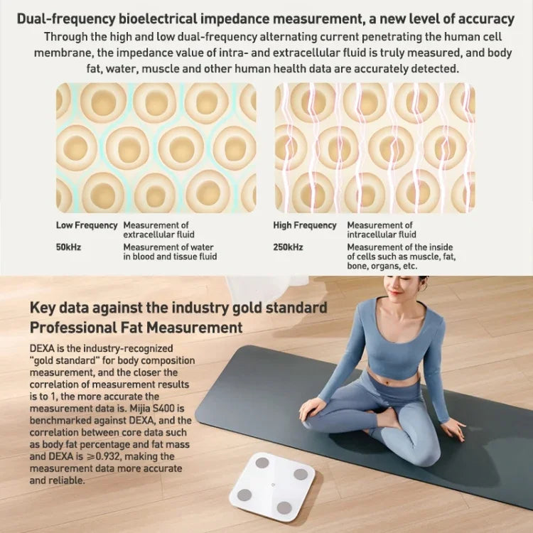 نص بديل للصورة