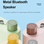 Enceinte Métallique Mini Bluetooth 5.0 avec Radiateur de Basses EWA A129