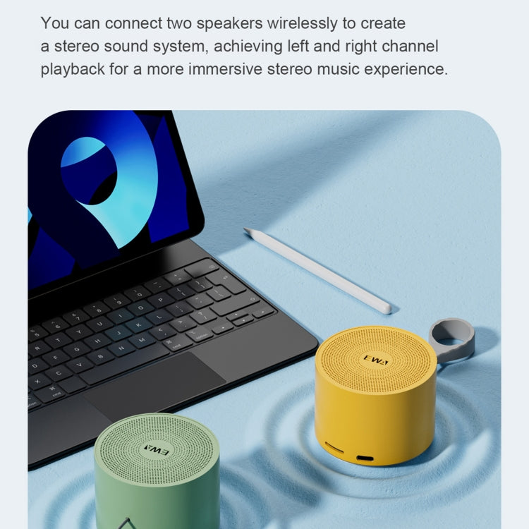 Enceinte Métallique Mini Bluetooth 5.0 avec Radiateur de Basses EWA A129
