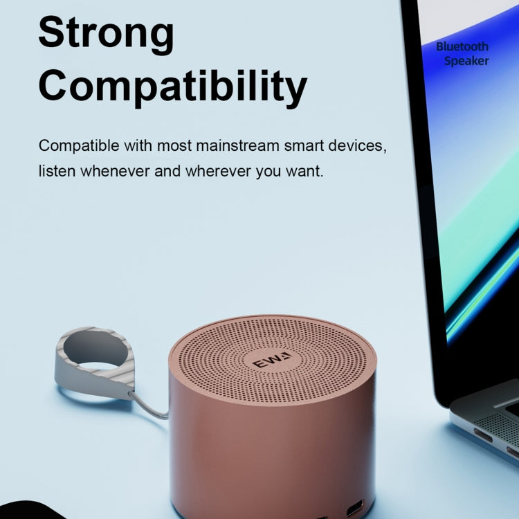 Enceinte Métallique Mini Bluetooth 5.0 avec Radiateur de Basses EWA A129