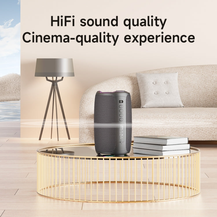 Enceinte sans fil Karaoké Zealot S61M RGB avec Lumières Rythmiques, Un Seul Micro, Deux Micros