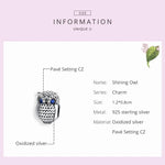 Perles Hibou en Argent Sterling S925 Accessoires DIY pour Bracelet Collier, SCC1607