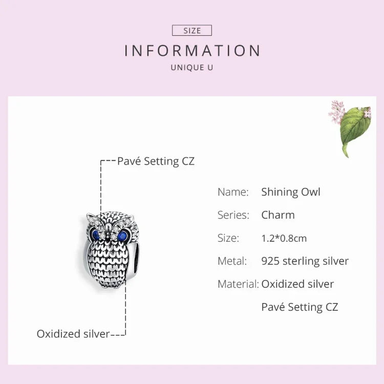 Perles Hibou en Argent Sterling S925 Accessoires DIY pour Bracelet Collier, SCC1607