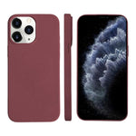 Coque MagSafe en silicone liquide pour iPhone 11 Pro