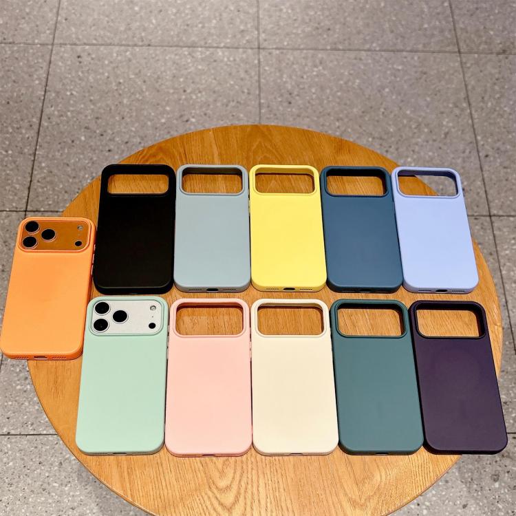 Coque MagSafe en silicone liquide pour iPhone 11 Pro