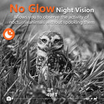 Caméra de Chasse Infrarouge Vision Nocturne HD 5K Version WiFi PR908W, PR908W
