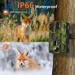 Caméra de Chasse Infrarouge Vision Nocturne HD 5K Version WiFi PR908W, PR908W