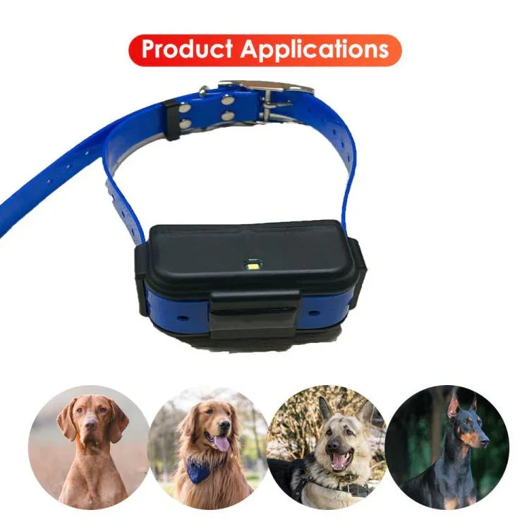 Traceur GPS TK919 4G pour collier de chien, étanche IP67