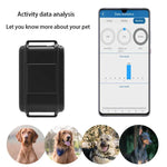Traceur GPS TK919 4G pour collier de chien, étanche IP67