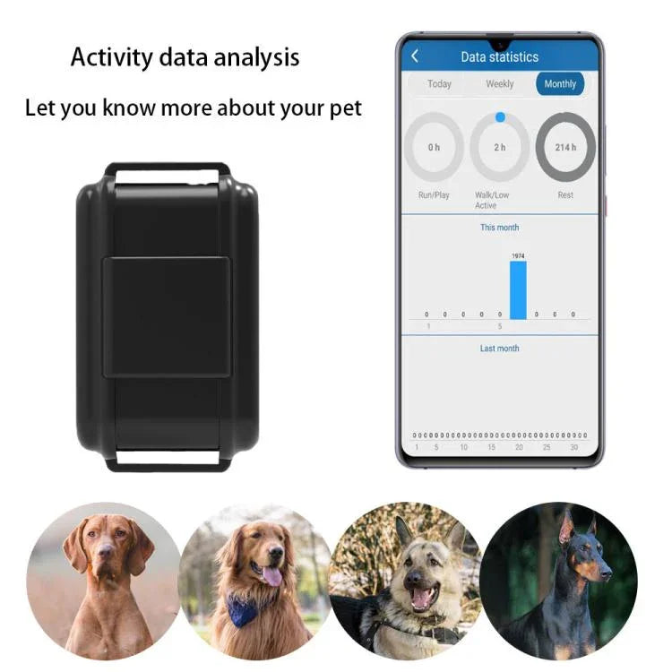 Traceur GPS TK919 4G pour collier de chien, étanche IP67