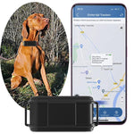 Traceur GPS TK919 4G pour collier de chien, étanche IP67