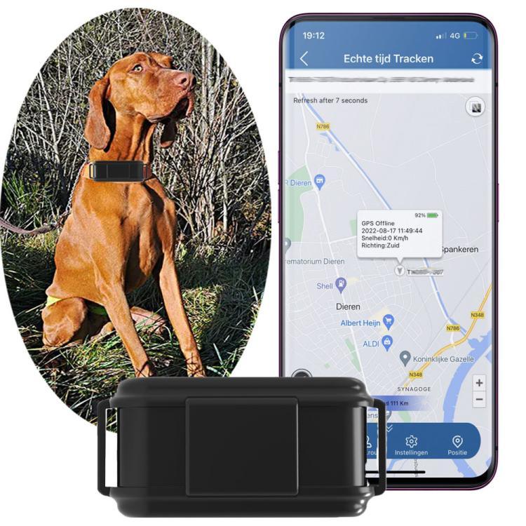 Traceur GPS TK919 4G pour collier de chien, étanche IP67