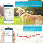 Traceur GPS TK919 4G pour collier de chien, étanche IP67