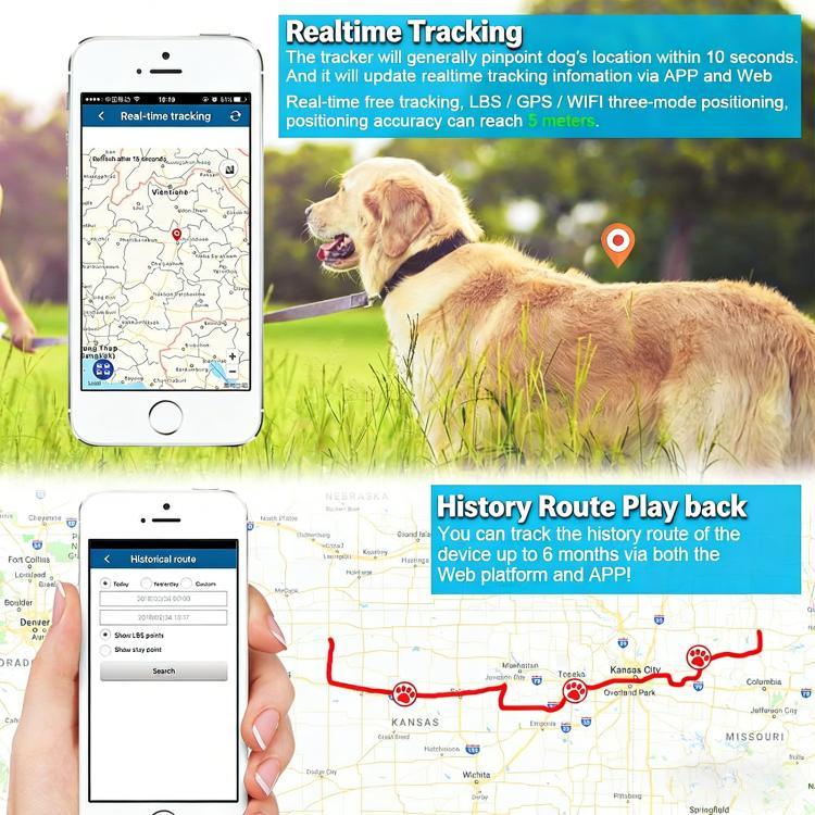 Traceur GPS TK919 4G pour collier de chien, étanche IP67