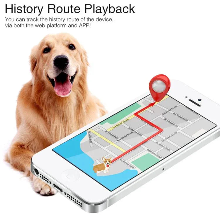 Traceur GPS TK919 4G pour collier de chien, étanche IP67