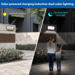 N776B Applique Murale Solaire LED Haute Puissance Double Couleur avec Détecteur