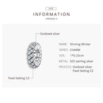 Perles Zircon d'Hiver Brillant en Argent Sterling S925 Accessoires DIY pour Bracelet Collier, Hiver Brillant