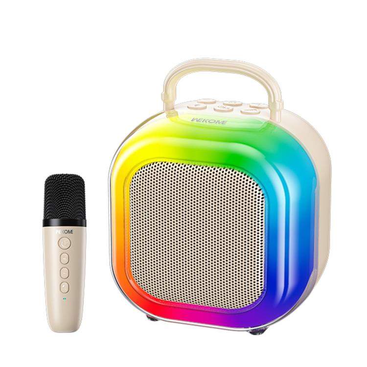 Enceinte karaoké portable WEKOME WD-09 Lysona
