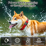 xDfind Traceur de Collier pour Animaux en Silicone avec Couverture Transparente en PC, Pour AirTag 2e Génération / AirTag 1re Génération