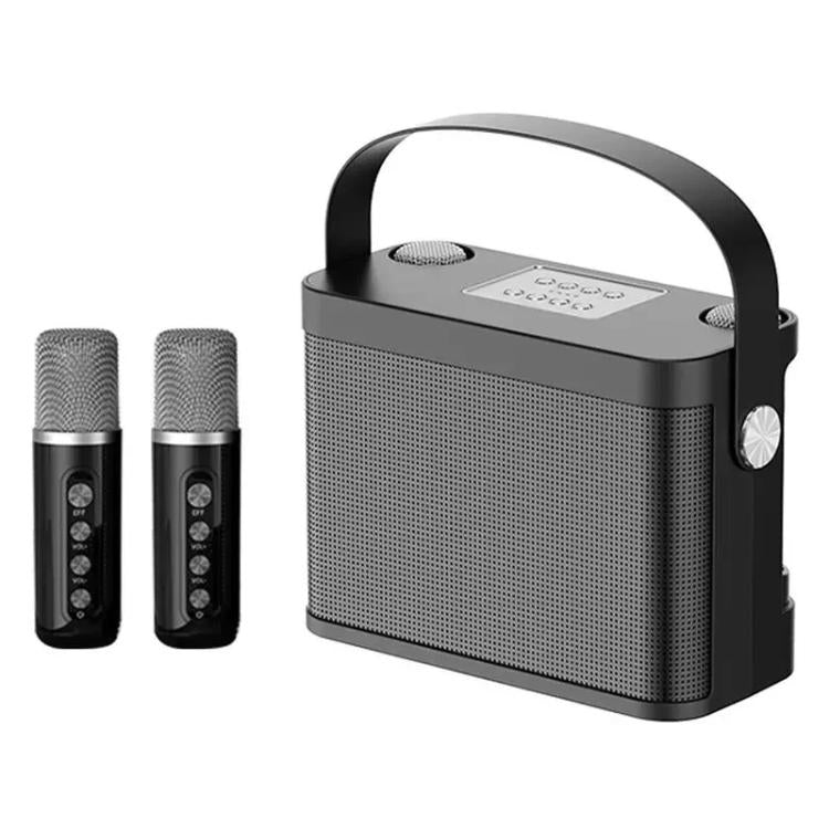 Enceinte Bluetooth karaoké sans fil portable YS-219 avec 2 microphones