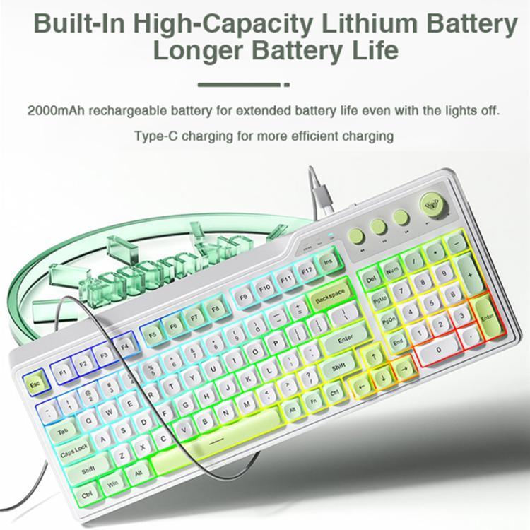 AULA F3099 99 Keys RGB Lighting Tri-Mode Gaming Keyboard