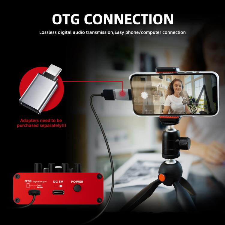 Mini carte son d'enregistrement en direct DEBRA GBA